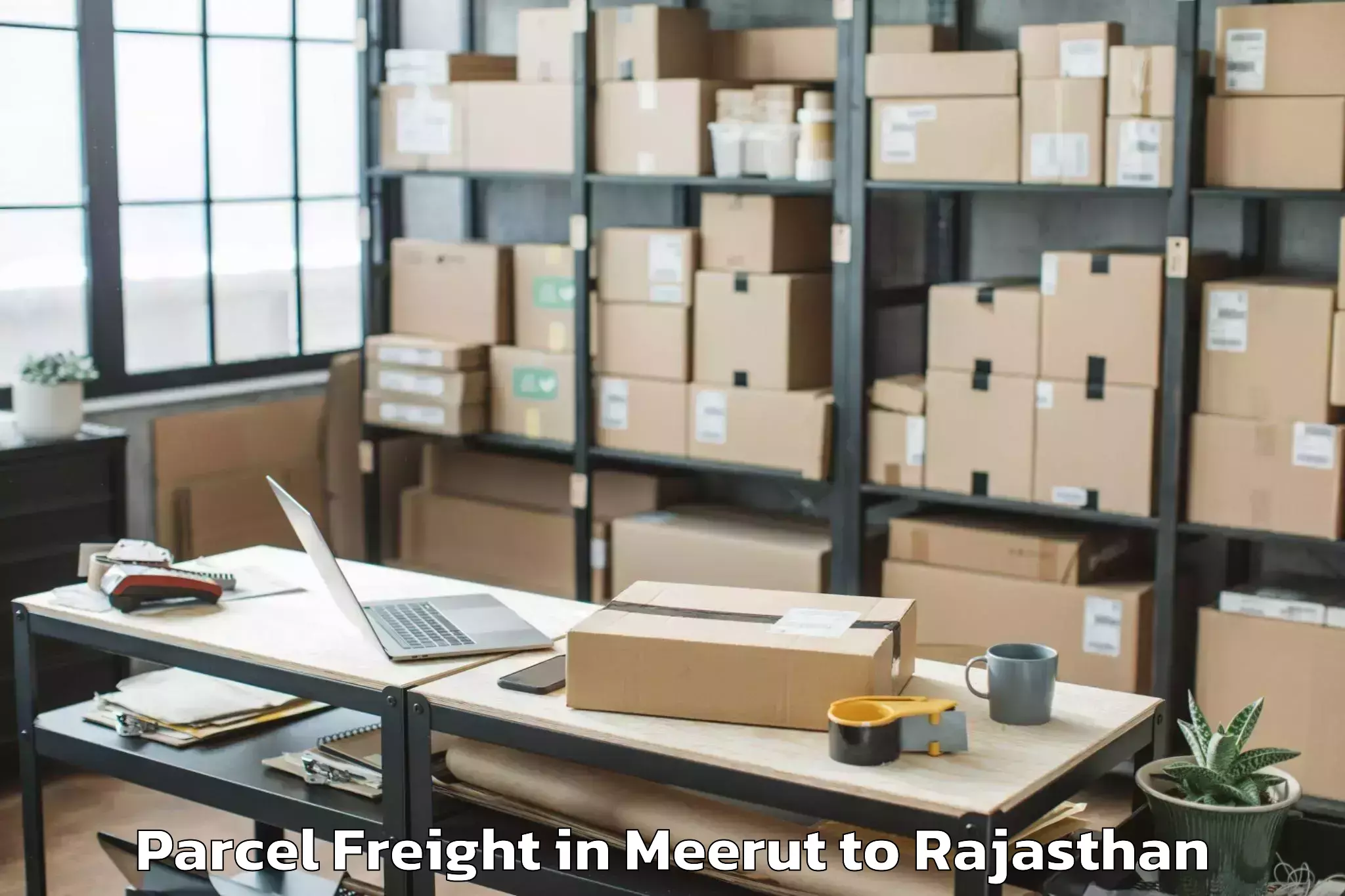 Book Your Meerut to Pilani Parcel Freight Today